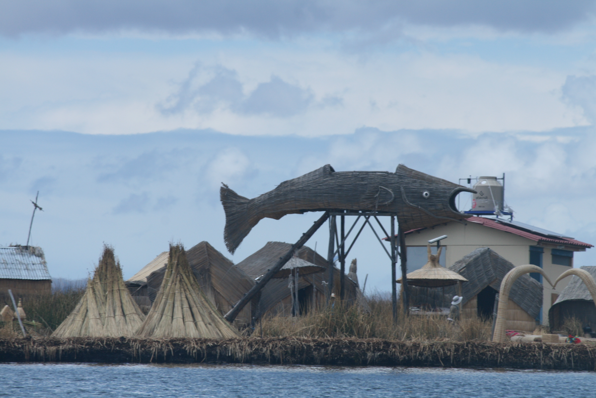 Pic 8 - Is it a plane, no its a....fish - Lake Titicaca.JPG